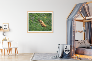 Mom and Baby Bears in Flowers Photo