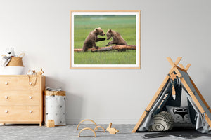 Baby Bears Playing Photo