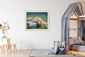Sleepy Bear Photo