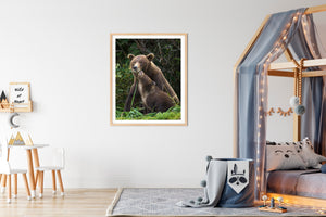 Baby Brown Bear and Mom Nuzzling Photo