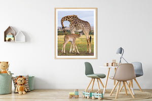 Mom and Baby Giraffe Photo