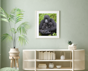 Gorilla and Twin Babies Photo