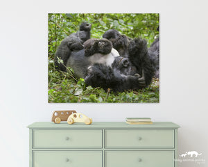 Baby Gorilla Playing with Dad Photo
