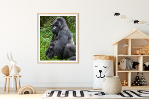 Baby Gorilla and Dad Photo