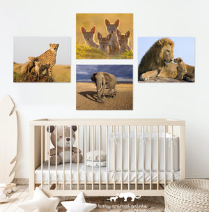 Growing Up Safari Photo Set (Color)