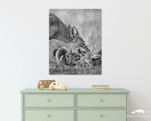Jackal Dad and Pups Photo