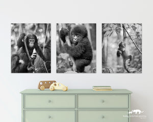 Jungle Baby Animals Photo Set (Black and White)
