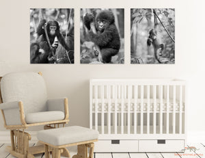 Jungle Baby Animals Photo Set (Black and White)