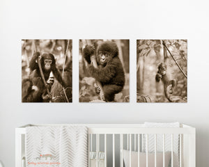 Jungle Baby Animals Photo Set (Sepia)