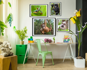 Sweet Mom and Baby Sloth Photo