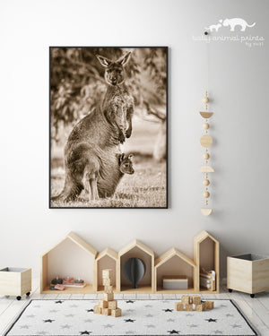 Kangaroo with Joey in Pouch Photo