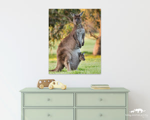Kangaroo with Joey in Pouch Photo