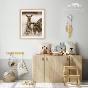 Kangaroo and Joey Photo