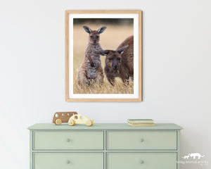 Kangaroo and Joey Photo
