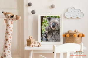 Koala Joey Snuggling Mom Photo