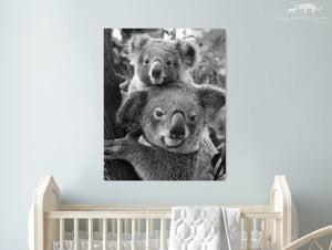 Mom and Baby Koala Photo