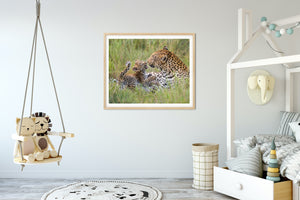 Leopard Mother Playing with Cub Photo
