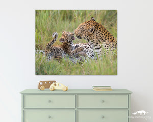 Leopard Mother Playing with Cub Photo