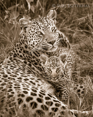 Leopard Mother and Cub Photo