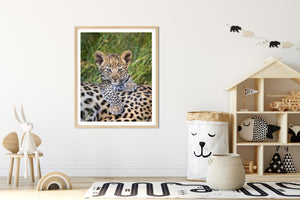 Cute Baby Leopard Photo