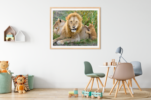 Grumpy Lion Dad Photo