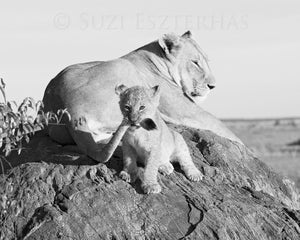 lion mom black and white
