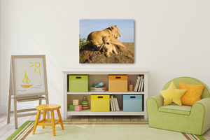 Baby Lion and Mom Photo