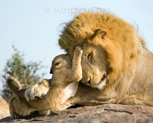 Safari Snuggles Photo Set (Color)