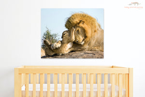 Baby Lion and Dad Playing Photo