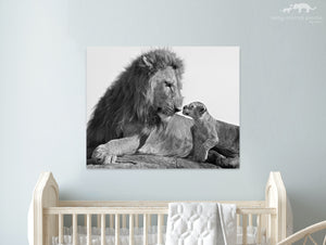 Baby Lion and Dad Photo