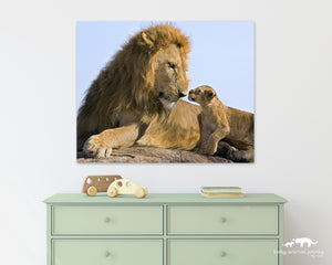 Baby Lion and Dad Photo