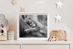 Sleepy Baby Orangutan Photo
