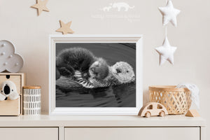 Baby Sea Otter Snuggled on Mom Photo