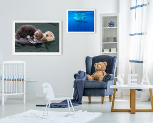 Baby Sea Otter Snuggled on Mom Photo