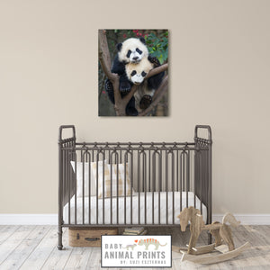 Panda Cubs Photo