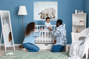 Mom and Baby Polar Bear Photo