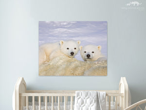 Polar Bear Cubs Photo