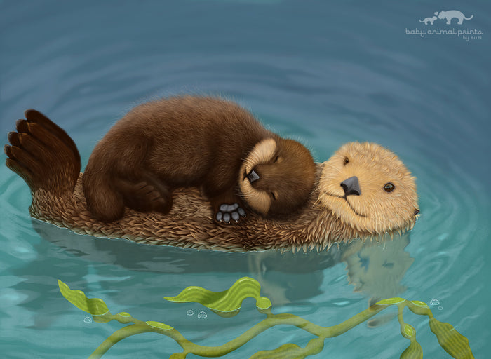 Baby Sea Otter Illustration Print
