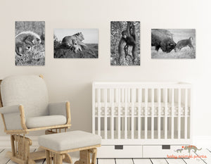 Playful Baby Animals Photo Set (Black and White)