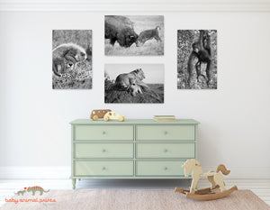 Playful Baby Animals Photo Set (Black and White)