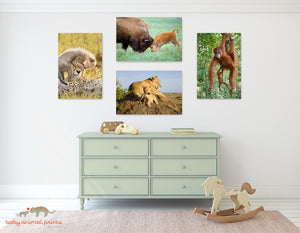 Baby Lion and Mom Photo