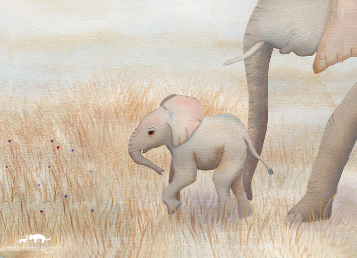 Baby Elephant Illustration Print