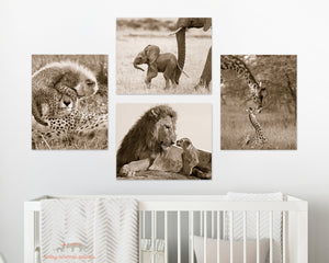 Safari Baby Animals Photo Set (Sepia)