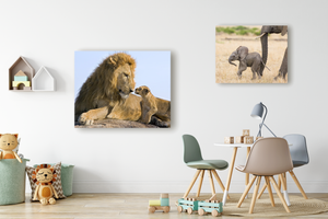 Baby Lion and Dad Photo