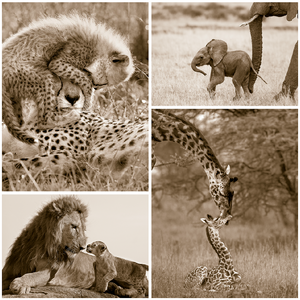 Safari Baby Animals Print Set Sepia