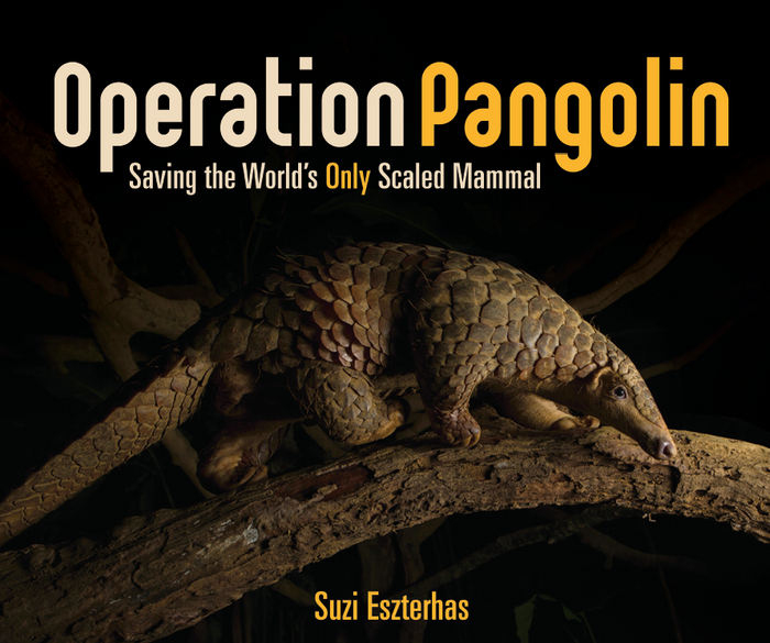 Children's Book, Operation Pangolin