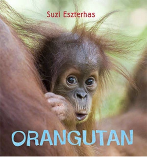 Orangutan Lovers Bundle