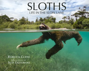 Sloth Lovers Bundle