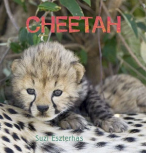 Cheetah Lovers Bundle