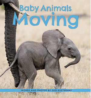 Baby Animal Lovers Bundle
